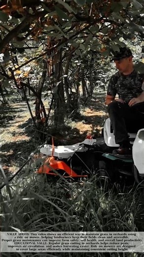 Mowing the Lawn With a Ride-On Lawn Mower! #shorts