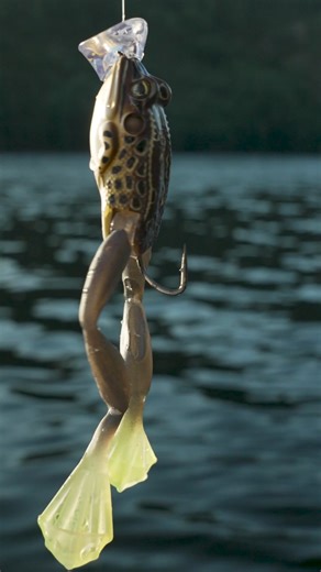 Poppin’ off with the Ultimate Frog. Perfect for when surface commotion is required, utilizing a dense rattle to call in fish from a distance. SHOP NOW: https://mustad-fishing.com/livetarget/us/product/tup?lengthSize=2.5" | 60mm&weightSize=1oz | 25g&colorName=Tan/Brown | LIVETARGET Lures