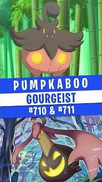 PUMPKABOO, the ghost pumpkin of the Pokémon world #pokemon #pokemonlegendsza