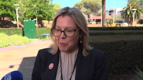 Libby Mettam survives challenge to leadership at Liberal Party meeting