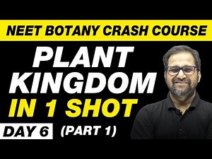 PLANT KINGDOM in 1 Shot (Part 1) | NEET Botany Crash Course | Day 6 | UMMEED