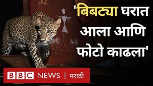 जुळे भाऊ, पेशाने पोलीस, पण आवड जंगलात फोटो काढण्याची 🐆🦉📷 | BBC News Marathi
