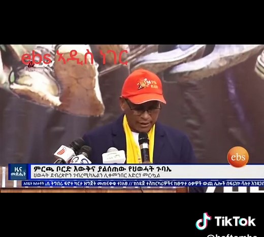 haftom h (@haftomha)’s videos with original sound - haftom h