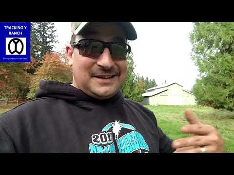 Field harrowing for better grass