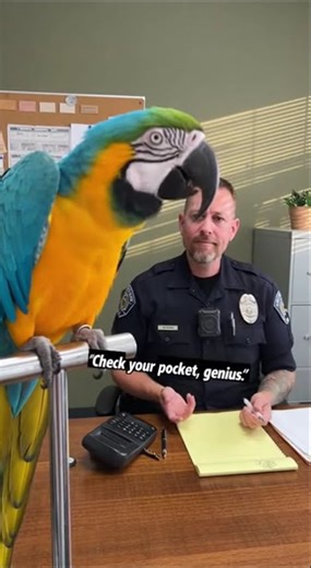 Savage Parrot Roasts Clumsy Officer! 😂💀