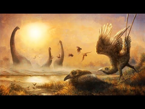 Enantiornitheans: The Strange 'Opposite Birds' of the Cretaceous