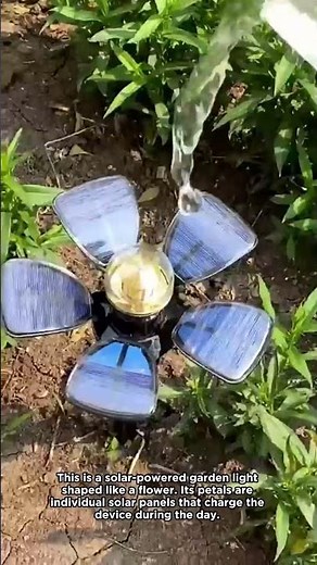 Solar Powered Flower Garden Stake Lights