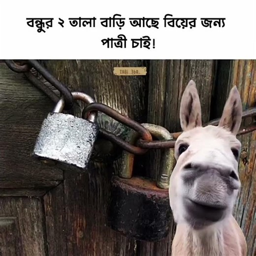 #funny #youtubeshorts #youtube #bangla #bollywood #funnyvideo