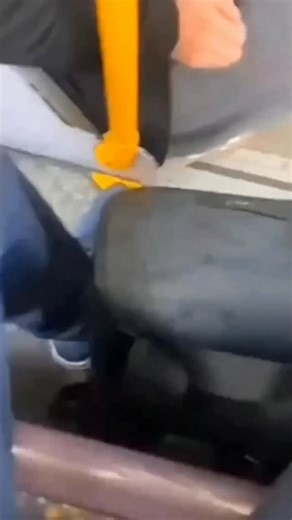 𝐆𝐫𝐞𝐚𝐭 𝐂𝐨𝐧𝐭𝐞𝐧𝐭 on Instagram‎: "☠️👀 در سواحل انزونزی، ماهیگیری موجودی را در ساحل کشف کرد که محلی‌ها آن را «ماهی زامبی» نامیدند. جالب اینجاست که این ماهی کاملا فاقد اندام‌های داخلی است، اما همچنان حرکت می‌کند و حتی شنا می‌کند، که سوال واقعی و منطقی را به وجود می‌آورد: چگونه چنین چیزی ممکن است؟ زیست‌شناسان می‌گویند احتمالا درون این ماهی انگل‌هایی وجود دارد که قادرند حرکات آن را حتی پس از مرگ کنترل کنند. اما این پدیده به ندرت در حشرات دیده می‌شود و در ماهی‌ها برای اولین بار است. و اگر ای