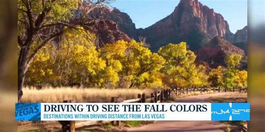 Driving to see the fall colors