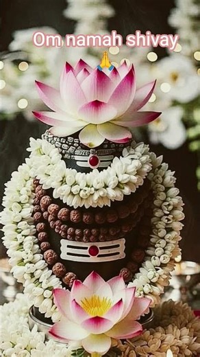 M shiv ka hu shiv mere hai # mahakal bholenath #ujjeinbale #mhakal
