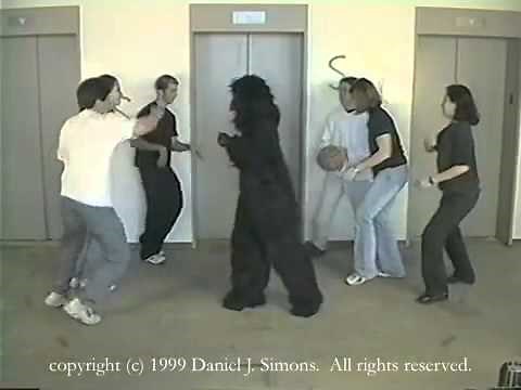 バスケット ゴリラ