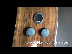 Fishman Aura beginner's guide