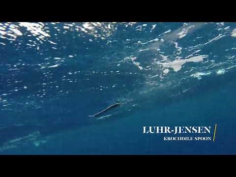 How Lures Swim: Luhr-Jensen Krocodile Spoon