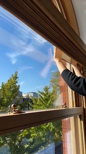 5.8K views · 36 reactions | Solar-powered shades? Yes, please. ✔️ Our PowerView Solar Charger Shades eliminate the need to manually charge your rechargeable battery wands— even in low-light spaces. Learn more: https://hunter-douglas.visitlink.me/jCGcDD | Hunter Douglas | Facebook