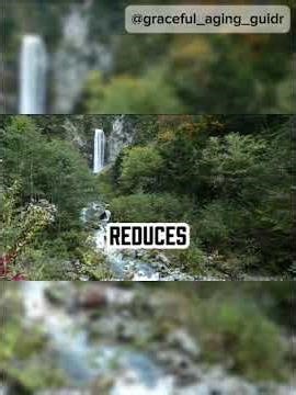 Managing Stress and Anxiety in Seniors: Simple Ways to Stay Calm as You Age