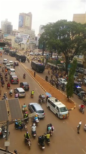 Understanding 'Banange': Cultural Insights and Reflections