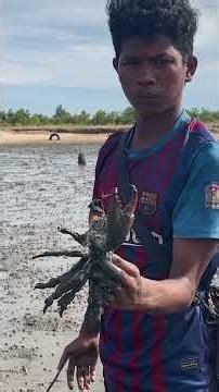 Low Tide Mud Crab Hunt in the Mangrove Forest | Catching Fresh Crabs #fishing #survival #mudcrab
