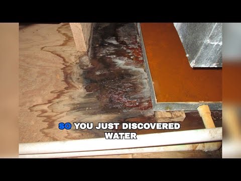 How to Dry Out Your Greenwood Home After a Basement Flood (7 Critical Steps)