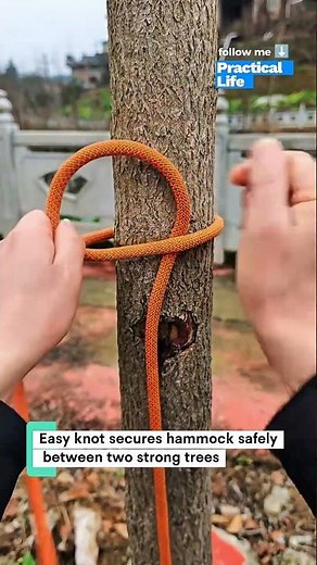 Easy knot secures hammock safely between two strong trees