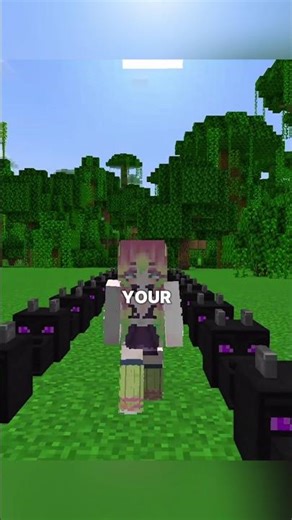 Minecraft Dragon Flex