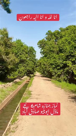 میرے پیارے بھائی ذوالفقار وڑائچ اب ہم میں نہیں رہے 😭😭😭@Zulfiqar Ali #alifaisaljutt #