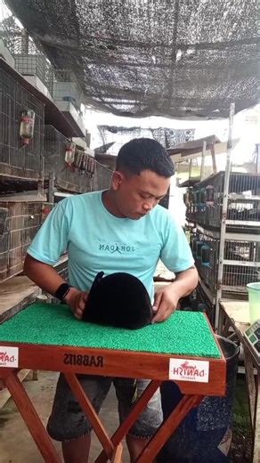 Mini Rex Senior Doe: A Charming Guide