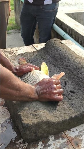 Fishermen Are Doing THIS Now… Crazy! #viral #fishing