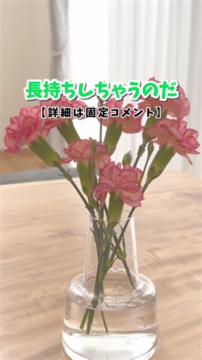 お酢のプチ知識 #ずんだもん #ライフハック #お酢
