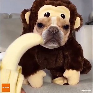 4.8K views · 51 reactions | Start your weekend with 15 of the world's...