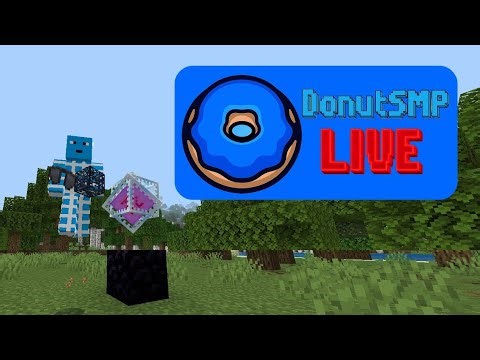 🔴Minecraft Servers and Worlds! Donut SMP Live stream || Rating Bases!🔴