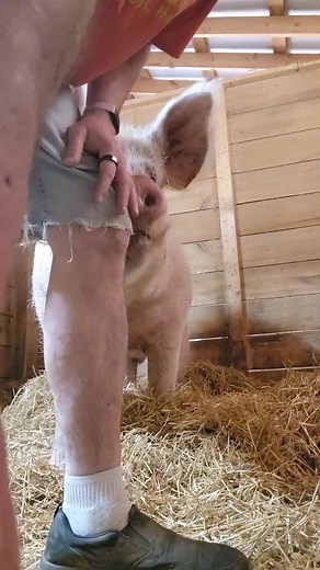 Friday evening with Baby Jones #veganfortheanimals #babyjones | Broome Animal Sanctuary