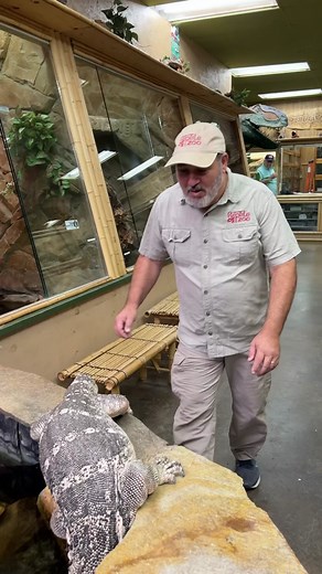 Funny Lizard Wants Fish's Water!