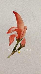 Palash flower or the Sacred Tree… it looks like a red banana 🍌 🤪 right? . . . . #cartel_watercolorists #letsmakeart #illustrationsketch #watercolordaily #illustration_best #watercolorart #worldwatercolorgroup #artjournal #floralsyourway #botanicalart #watercolors #botanicalartlovers #aquarelle #Watercolorflower #watercolor_Painting #sketchbooktour #acuarela #flowerpainting #watercolorbeginner #watercolorsketchbook #worldwatercolormonth #botanicalpainting #princetonbrushes #watercolorpainting |