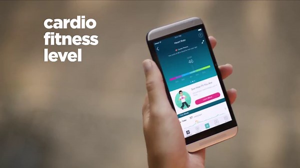 Fitbit Charge 2 Heart Rate + Fitness Wristband, Plum, Large (US Version)