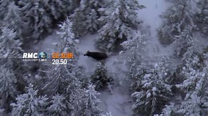 4.1K views · 107 reactions | ❄ ☃ Vivre en Alaska ? Vous en rêviez, nos habitants l'ont fait ! ⬇ #RMCDécouverte | RMC Découverte | Facebook