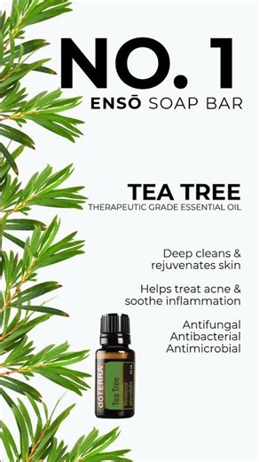 No 1. ENSŌ Soap Bar | Ingredient Feature - Tea Tree Oil