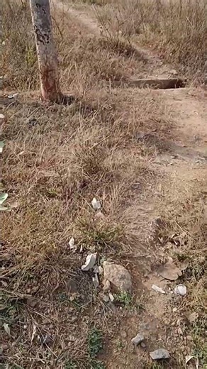 Govt polytechnic colleges building Madhugiri opposite to Monolithic rock Madhugiri 04/01/2026.