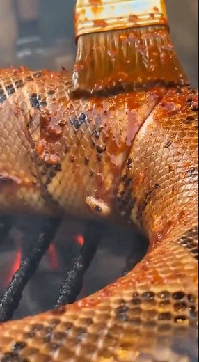 Travel to India and taste giant snakes 😆