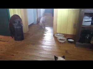 Smeagol is still scared