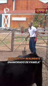 Paul Michael está completamente enamorado de Pamela 👀🔥 No te lo pierdas en La Granja VIP Perú 📺 Lunes a viernes a las 9:55 p.m. y sábados a las 8:00 p.m. por Panamericana Televisión #LaGranjaVIPPerú #PanamericanaTV