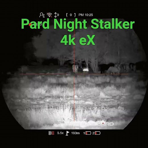 pard Night Stalker 4k eX The best Night Vision 2025