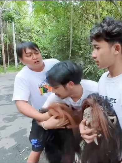 😱 JANGAN DIBUANG! Mas Nemo Ng4muk ke Mas Ado Gara-Gara Topeng Butonya mau dibuang! 👺