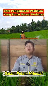 Cara penggunaan Pestisida Yang Benar Sesuai Kode nya🌾🌾🌾 #reels #reelfyp #fyp #foto #fotofyp #editfoto #fyp #edukasi #edukasipertanian #motifasi #petani #prtanimuda #petaniindonesia #petanipadi #petanimilenial #sucses | Antoe Fitri