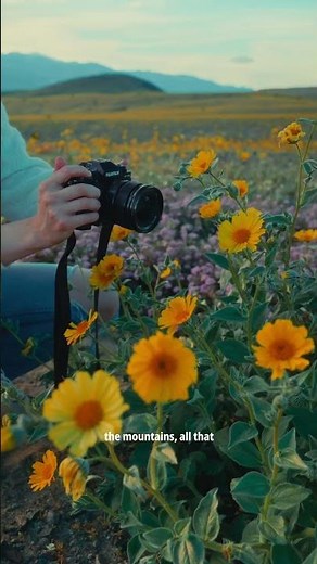 A few reasons why we love XF16mmF1.4 R WR 🌸