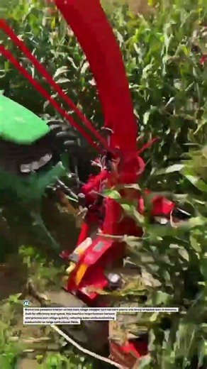 Powerful Tractor Corn Silage Chopper in Action 🌽🚜 | Fast Harvest Tech #Farming #Tractor #Agriculture