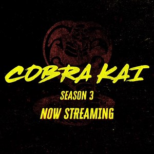 Kickstart the year right, kickstart it with 📺: Cobra Kai! Season 3 is now streaming! | Netflix