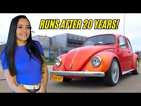WE FINALLY FINISHED THE BEETLE PROJECT!