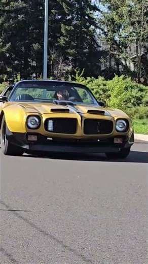 1970 Chevrolet Camaro Trans Am 4 Speed 350 v8 muscle car