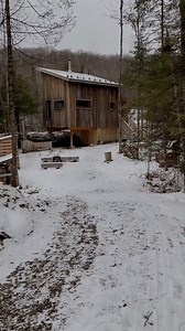 Who else are you bringing along for an off grid adventure to a forest cabin with a view? We’ve got some pretty amazing places and unique homes that just might make you rethink off grid living. https://theoffgridcabin.com/tiny-houses #cabinlife #OffGrid #diy #camping #forest | The Off Grid Cabin